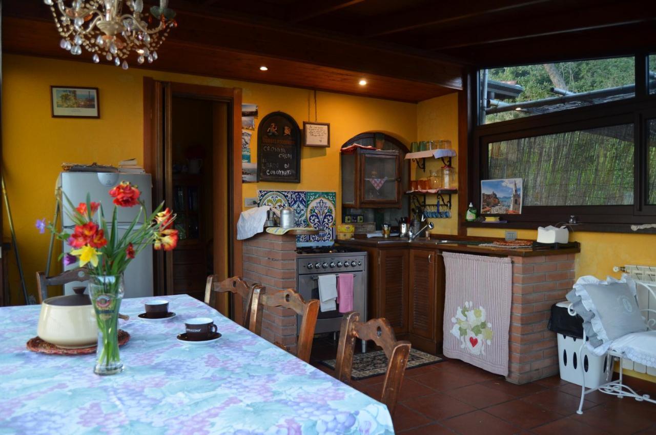La Pineta Bed & Breakfast Pitelli Exterior photo